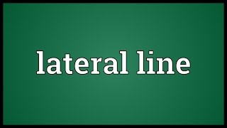 Lateral line Meaning [upl. by Damales]