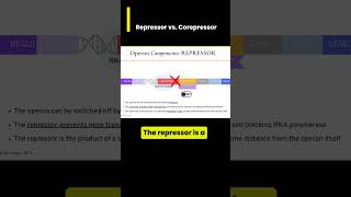 Gene Expression in operons Repressor vs Corepressor [upl. by Gavan]