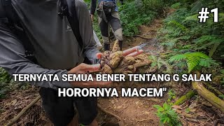 KETEMU FASES PANTHERA PARDUS MELAS  PENDAKIAN GUNUNG SALAK VIA CIMELATI 1 [upl. by Dumm]