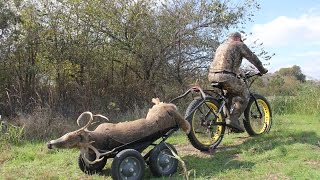 Electric Fat Tire Bikes for Hunting [upl. by Truitt]