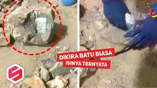 Bea Cukai Kok Dilawan Mata Mereka Kaya Elang di dalam Batu Aja Bisa Ketahuan [upl. by Charisse]