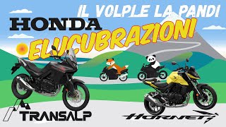 Elucubrazioni su Honda CB750 Hornet e Honda XL750 Transalp  con Colpo di Scena [upl. by Nicki594]