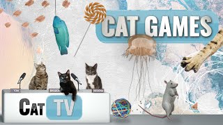 Cat Games  Ultimate Cat TV Compilation Vol 6  1 HOUR 🐱📺🐶🍭🧀🐔🐟🌊🐭🌱 [upl. by Kayley284]