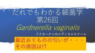 【だれでもわかる細菌学 第26回】ガードネレラ（細菌性膣症の原因菌） [upl. by Iral]