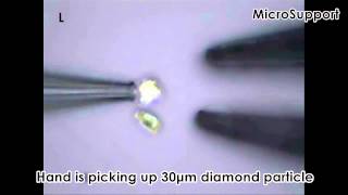 Video Showing Basic Functions of Micro Support Micromanipulators [upl. by Gustie]