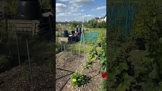 Allotment Pt 10 [upl. by Aibar]