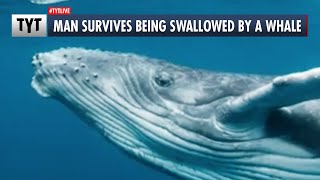 Man Survives Being SWALLOWED By A Whale [upl. by Name]