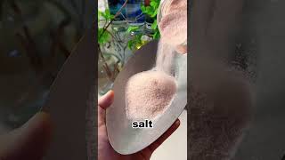 Himalayan salt is not produced in the Himalayas [upl. by Elsey]