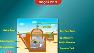 HOME MADE BIOGAS amp USES [upl. by Aierdna]