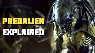 PredAlien  Xenomorph Explained AVP Lore [upl. by Nailimixam507]