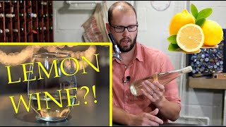 Cheapest Homemade Wine Ever Lemon Wine [upl. by Nema]