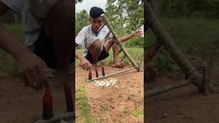 2024 Primitive Wild Boar Hunting How to trap wild boar using a Wood and a sharp stick wildanimal [upl. by Neema]