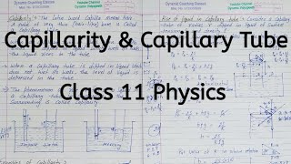 Capillarity  Capillary Tube  Chapter 9  Mechanical Properties of Fluids  Class 11 Physics [upl. by Violante]