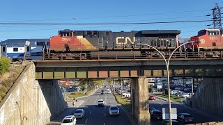 FALL TRAINS CN Freight Passes EXO Commuter st LAcadie Blvd Overpass in Ahuntsic [upl. by Frymire]