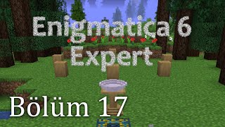 Natures Auraya Giriş  Enigmatica 6 Expert  Türkçe Bölüm 17 [upl. by Higginson]