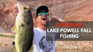 Lake Powell INCREDIBLE Fall Fishing [upl. by Eiluj785]