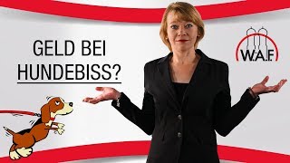 Entgeltfortzahlung bei Hundebiss  Betriebsrat Video [upl. by Zirkle]