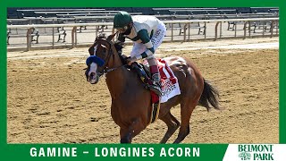 Gamine  2020  The Longines Acorn [upl. by Yerac]