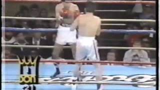 JULIO CESAR CHAVEZ VS RUBEN CASTILLO 13 [upl. by Gurney681]