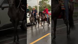 Gran Cabalgata Volcan Panama  Horse Parade  Tierras Altas Chiriqui [upl. by Dyol]