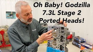 Godzilla 73L Stage 2 Ported Ford Heads  See Why These Will Make Big Power [upl. by Niuqram]