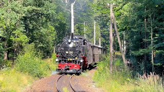 Historik Mobil 2022  99 731 99 749 und VT 137 322 im Wald [upl. by Gusella]