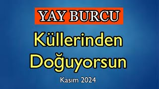 Yay Burcu Kasım 2024 Burç Yorumları [upl. by Eseerahs546]