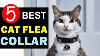 Best Cat Flea Collar 2024 🏆 Top 5 Best Cat Flea Collar Reviews [upl. by Schultz860]