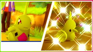 LIVE 4 Shiny Larvitar in Pokemon Brilliant Diamond  Pokeradar [upl. by Anah]