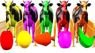 Learn Colours With Farm Animal Cow amp Fruits Colors For Children  Colors For Kids to Learning Videos [upl. by Ranger153]