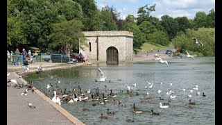 Mote Park Maidstone Walk and family war history [upl. by Ardnossac486]