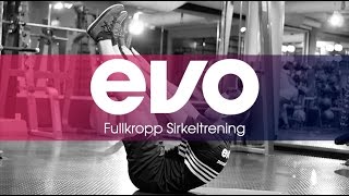 Sirkeltrening fullkropp treningprogram  EVO [upl. by Mikol]