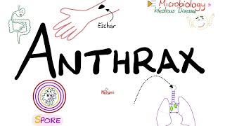 Anthrax  Causes Symptoms Diagnosis Treatment  Bacillus anthracis  Microbiology 🧫 [upl. by Aiderfla]