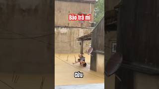 Thôi Xong Rồi  🌪 Bão Trà Mi Nhấn Chìm Rồi shorts baotrami baoyagi [upl. by Tsnre]