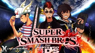 Super Smash Bros For 3DS Versus  SkywardWing and Soraalam1 [upl. by Nnasus]