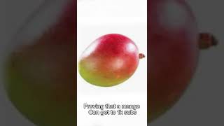 Proving That A Mango Can Get To 1k Subs mango subscribe [upl. by Latea]