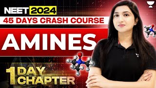 1 Day 1 Chapter Amines  45 Days Crash Course  NEET 2024  Akansha Karnwal [upl. by Yerocaj75]