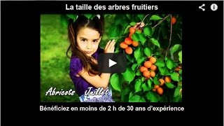 Verger La taille des arbres fruitiers bénéficiez en moins de 2 h de 30 ans dexpérience [upl. by Sul]