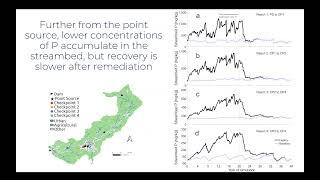 Evaluating the Longevity of InStream P Legacies Recovery Following Point Source Remediation [upl. by Ayn451]