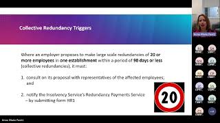 Dixcart Legal Employment Law Update and Redundancy Webinar [upl. by Roath568]