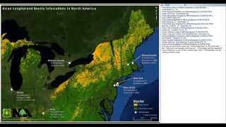 The Ecology and Management of Asian LongHorned Beetle in Rural Woodlands [upl. by Eiba]