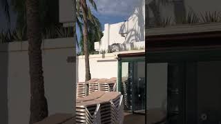 THB Flora hotel in lanzarote 2022 [upl. by Eellek602]