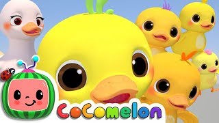 Five Little Ducks  CoComelon Nursery Rhymes amp Kids Songs [upl. by Mccutcheon]