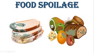 Food Spoilage  Foodborne Microbes  Foodborne Disease [upl. by Anallise903]