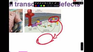 Molecular biology of cancer Hallmarks of cancer  Block 11 [upl. by Kusin81]