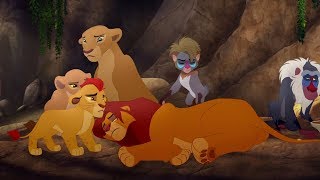 Lion Guard Good King Simba song  Simba is stung  The Scorpions Sting HD Clip [upl. by Tnek]