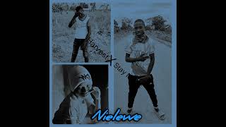 Harvest Ft  Stay Music  Nielewe Official Lyrics Audio [upl. by Yleen]