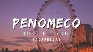 PENOMECO  BOLO ft YDG  Acapella  lyrics video [upl. by Eniahs933]