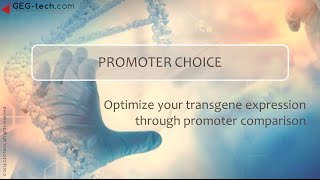 Optimize transgene expression through promoter choice [upl. by Natala361]