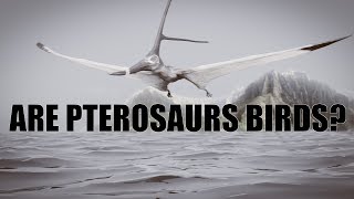 Are Pterosaurs Birds Kent Hovind Response [upl. by Gould802]